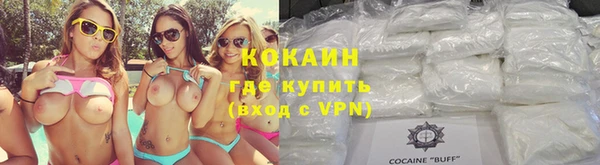 дживик Бронницы