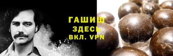 мдпв Осташков