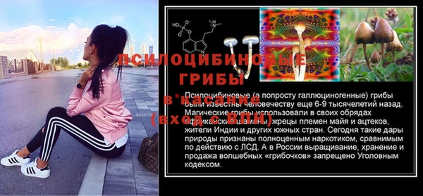 трава Осинники
